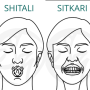 sitali_sitkari.png